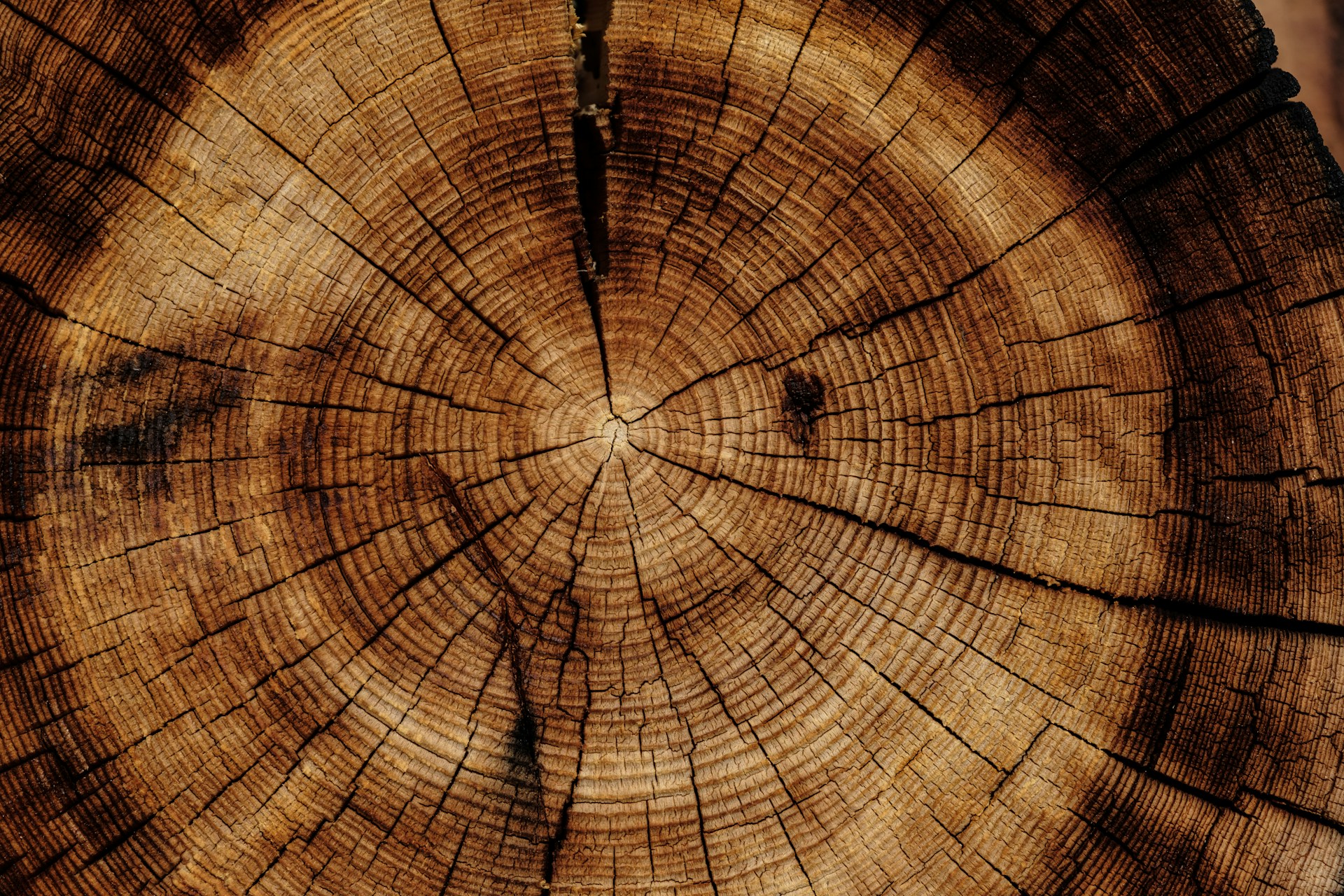 Sustainable wood sourcing